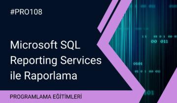 Microsoft SQL Reporting Services ile Raporlama